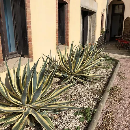 Chez Carca, Au Pied De La Cite De